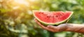 Hand holding watermelon wedge with selection on blurred background, copy space available Royalty Free Stock Photo