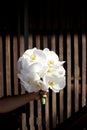 Hand holding wedding bouquet Royalty Free Stock Photo