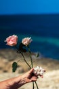 Hand holding white coral with wedding rings and roses Royalty Free Stock Photo