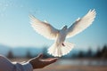 Hand holding a white dove in sunny day. Hope and freedom concept. Generative AI Royalty Free Stock Photo
