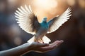 Hand holding a white dove in sunny day. Hope and freedom concept. Generative AI Royalty Free Stock Photo