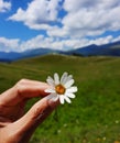 Hand holding white flower, mountains panorama