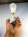 Hand holding an energy efficient white light bulb Royalty Free Stock Photo