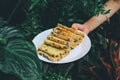 Hand holding white plate Homemade High fiber natural health food Sliced rye bread on cutting board. Whole grain rye bread with see Royalty Free Stock Photo