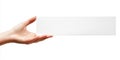 Hand Holding a White Rectangle Royalty Free Stock Photo