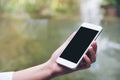 A hand holding white smart phone with blank black desktop screen with blur green nature background Royalty Free Stock Photo