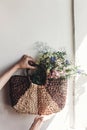 hand holding wildflowers in wicker bag at rustic window. colorful flowers in brown basket in sunlight, space for text. rural Royalty Free Stock Photo