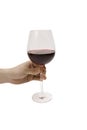 Hand holding Wine Royalty Free Stock Photo