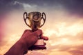 Hand holding winner trophy Royalty Free Stock Photo