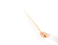 Hand holding wood classroom pointer isolated