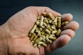 Hand holding wood pellets going into the stove, alternative heating energy solution Royalty Free Stock Photo