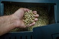 Hand holding wood pellets going into the stove compartment, alternative heating energy solution Royalty Free Stock Photo
