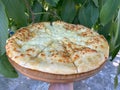 Hand holding wooden plate with Megruli Khachapuri in front of walnut tree.