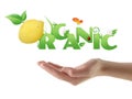 Hand holding word Organic ecological design