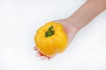 Hand holding yellow Bell pepper isolated on white background Royalty Free Stock Photo