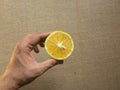 Hand holding Citrus limetta