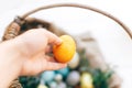 Hand holding yellow Easter egg and stylish eggs with green buxus branches in rustic wicker basket on white wooden background. Royalty Free Stock Photo