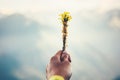 Hand holding yellow flowers Mountains Landscape on background