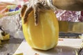 Hand holding yellow watermelon And use a knife to cut a piece Royalty Free Stock Photo