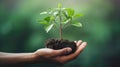 Hand holding young plant on blur green nature background. concept eco earth day Royalty Free Stock Photo