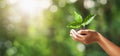 hand holding young plant on blur green nature background. concept eco earth day Royalty Free Stock Photo