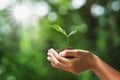 hand holding young plant on blur green nature background. concept eco earth day Royalty Free Stock Photo