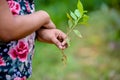 Hand holding young plant on blur green nature background. concept eco earth day Royalty Free Stock Photo