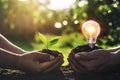 hand holding young plant with light bulb on dirt and sunset background Royalty Free Stock Photo