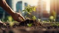 Hand holding young plant for planting in soil concept green world Royalty Free Stock Photo