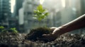 Hand holding young plant for planting in soil concept green world Royalty Free Stock Photo