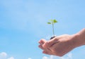 Hand holding young plant ready to grow with cloud and soft blue sky background, save the world and World Environment Day concept Royalty Free Stock Photo