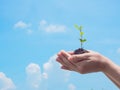 Hand holding young plant ready to grow with cloud and soft blue sky background, save the world and World Environment Day concept Royalty Free Stock Photo