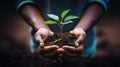 Hand Holding Young Tree, Symbolizing Ecofriendly Practices