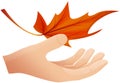 Hand holds autumn leaf vector illustration. Fallen golden yellow leaf isolated on white background Royalty Free Stock Photo