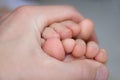 The hand holds the baby toes Royalty Free Stock Photo