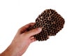 Hand holds a bee hive