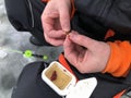 The hand holds the bloodworm by the hook, close-up. Winter fishing