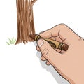 A hand holds a brown crayon, sketching a tree trunk on white paper Royalty Free Stock Photo