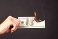 Hand holds burning dollar isolated on a black background. Royalty Free Stock Photo