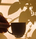 Hand holds coffee cup, closed curtains sunrise or sunset shadows and light, intersection of plant shadows on a beige textile Royalty Free Stock Photo