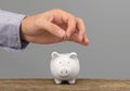 Hand holds coin. Piggy bank money savings concept