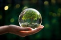 Hand holds crystal globe with a tree, Earth Day concept