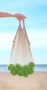 Hand holds eco bag with green apples Royalty Free Stock Photo