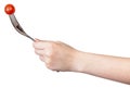 Hand holds fork with one fresh red cherry tomato Royalty Free Stock Photo