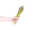 Hand holds fresh green asparagus bunch. Royalty Free Stock Photo