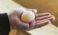The hand holds a fresh soft egg laid by a sick chicken without a shell in the film Royalty Free Stock Photo