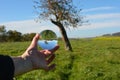 Hand holds a glass ball in which a tree is reflected in green nature Royalty Free Stock Photo