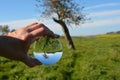 Hand holds a glass ball in which a tree is reflected in green nature