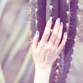 The hand holds a large cactus, beauty concept. Art Contemporary