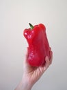 The hand holds a large red pepper on a light background. Royalty Free Stock Photo